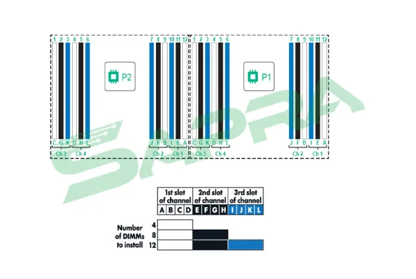 ترتیب نصب رم سرور HP